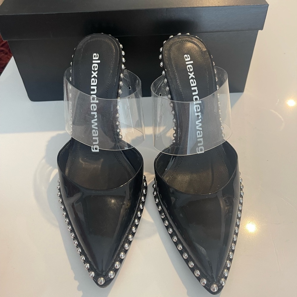 Alexander Wang heels.